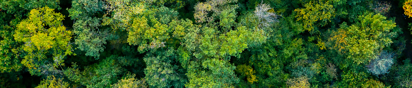 Sustainability at Arclight Capital